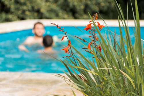 Protect Your Pool This Autumn: Solutions for 5 Frequent Issues 